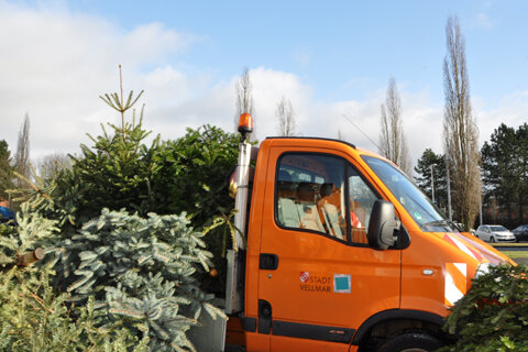 AktWeihnachtsbaum2022