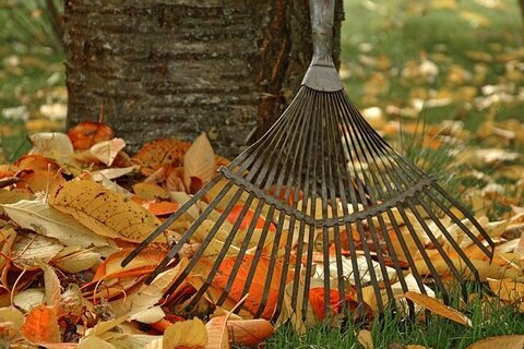 Herbstlaub_Rechen