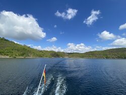IMG_4911