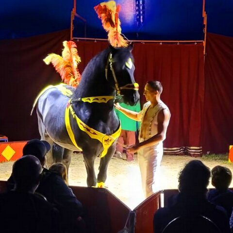 Circus_03
