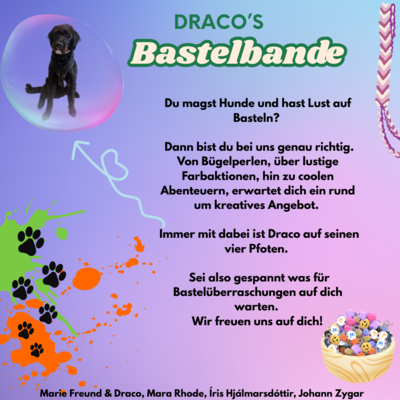 Gruppe 5 - Draco's Bastelbande