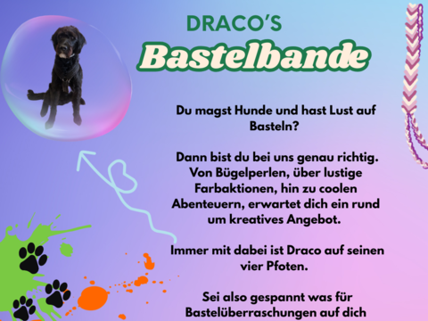 Gruppe 5 - Draco's Bastelbande