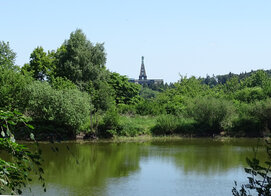 Der Wald als Quelle für die barocken Wasserspiele_ccby Jürgen Depenbrock