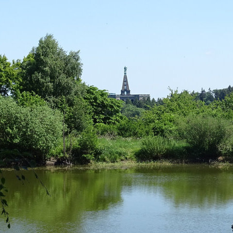 Der Wald als Quelle für die barocken Wasserspiele_ccby Jürgen Depenbrock