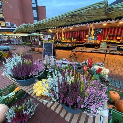 Wochenmarkt Vellmar