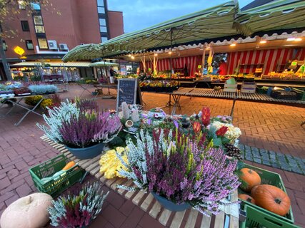 Wochenmarkt Vellmar