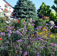 BlaettchenTitelbild BlaettchenTitelbild