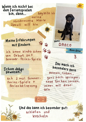 Draco