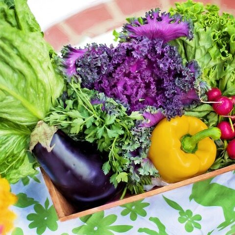vegetables-790022_1280