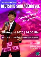 Lila Weiß Modern Musikfestival Ticket (210 x 99 mm) (A4)