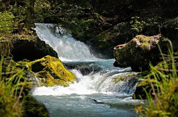 franz26-water-7991010_1920