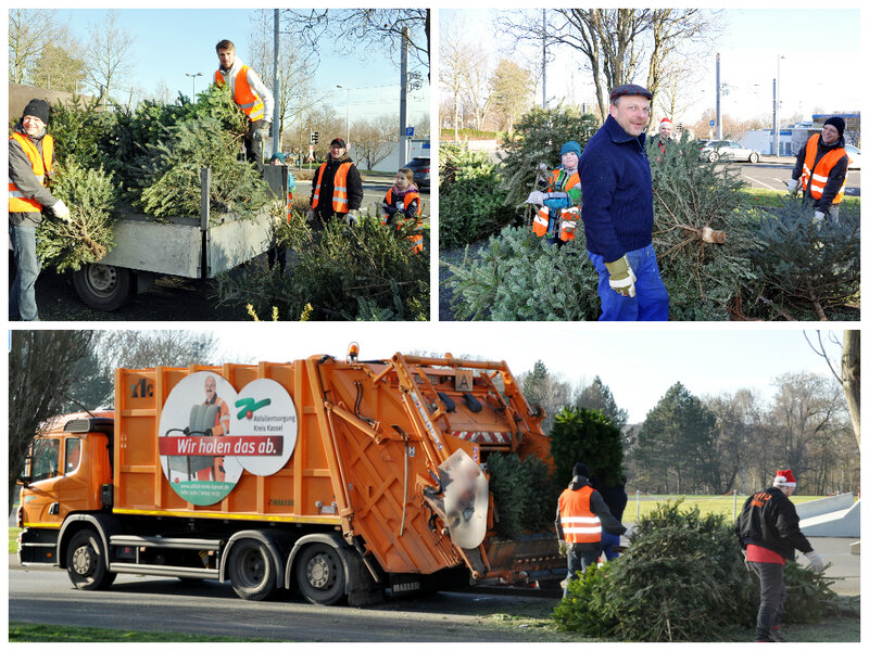 Collage Aktion Weihnachtsbaum