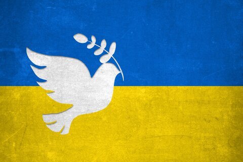 Taube_Frieden_Ukraine