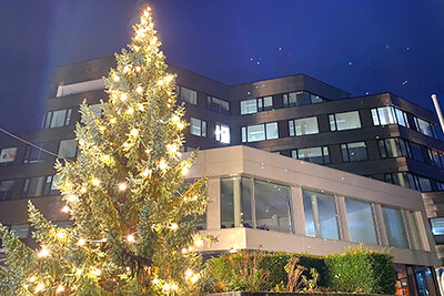 Vorschaubild Rathaus mit Weihnachtsbaum
