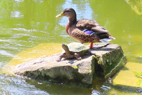 Ahnepark5