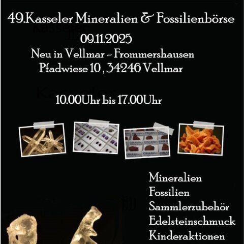 Börsenbild 2025 bunt