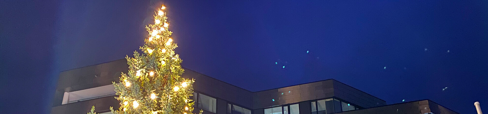 Weihnachstbaum Rathaus