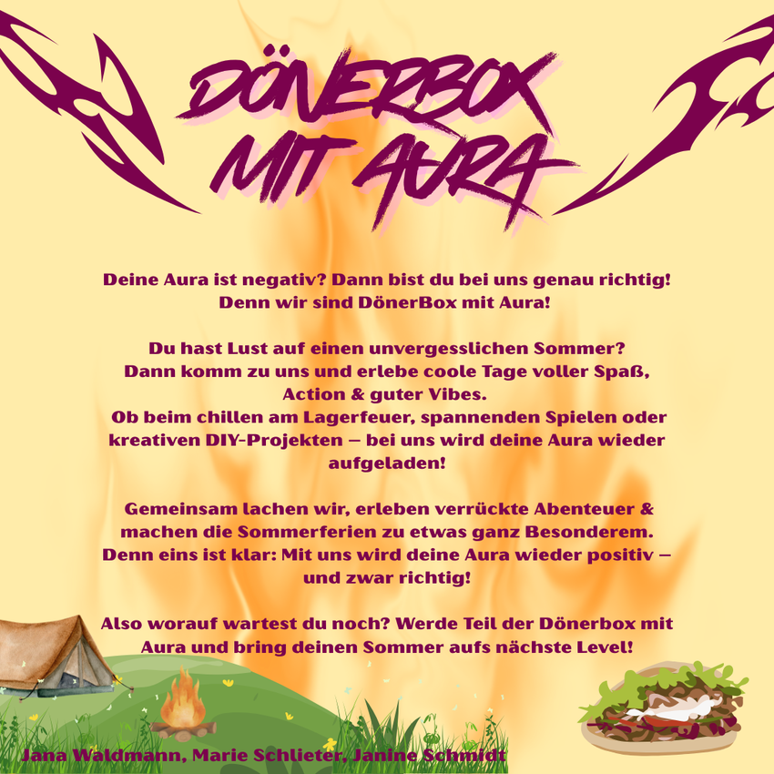 Gruppe 11 - DönerBox mit Aura