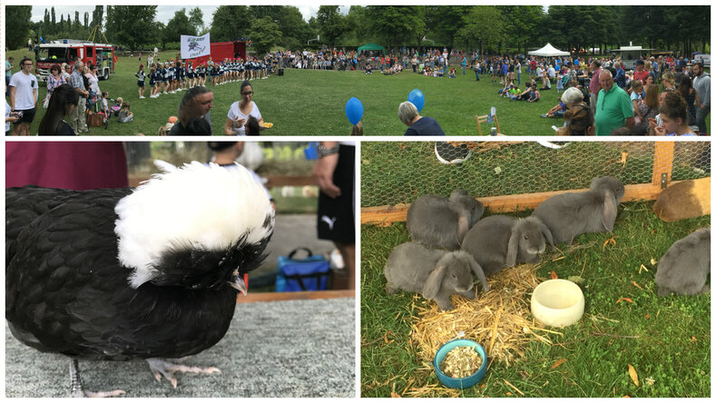 Parkfest_2017_IV
