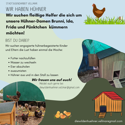 Die wilden Hühner