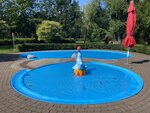 IMG_6722