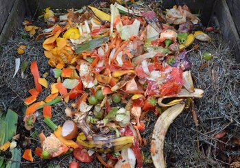 green-waste-513609_1280