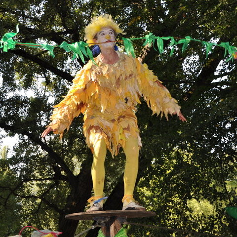 Parkfest2022
