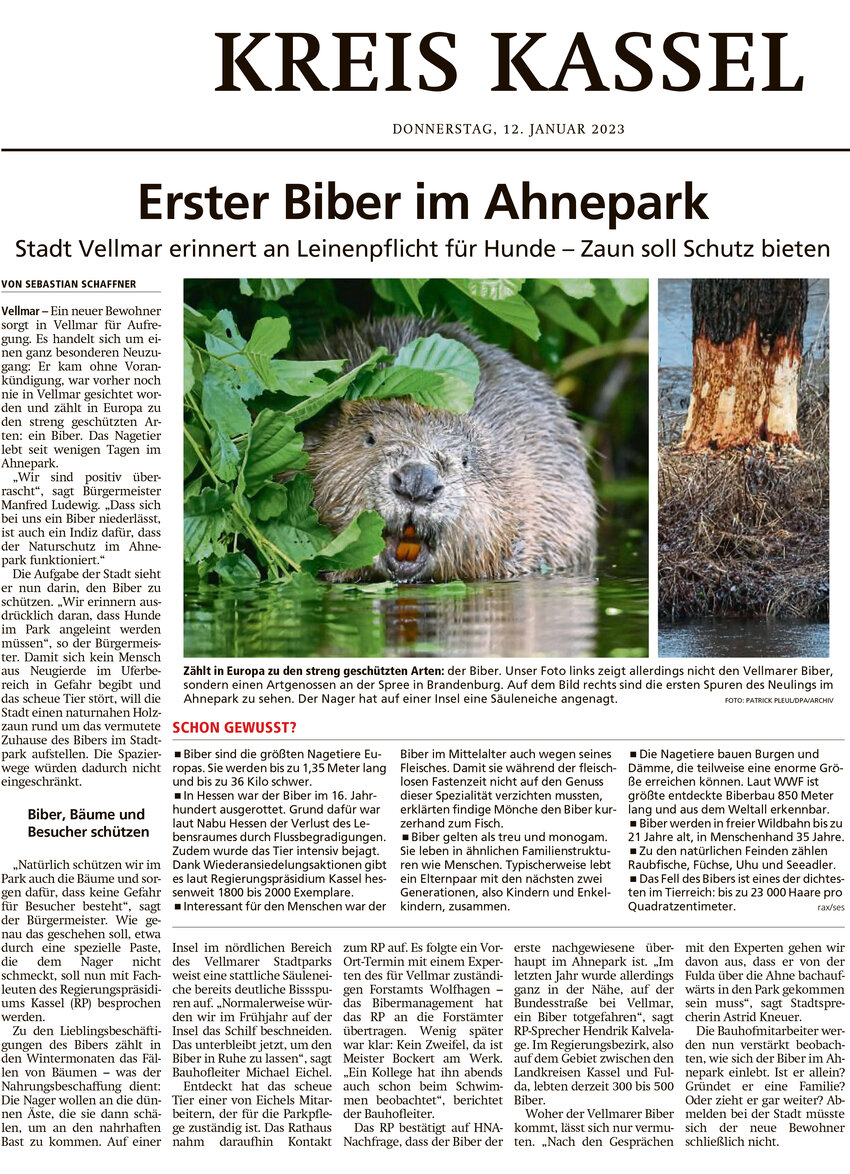 HNA_Biber_Ahnepark_12